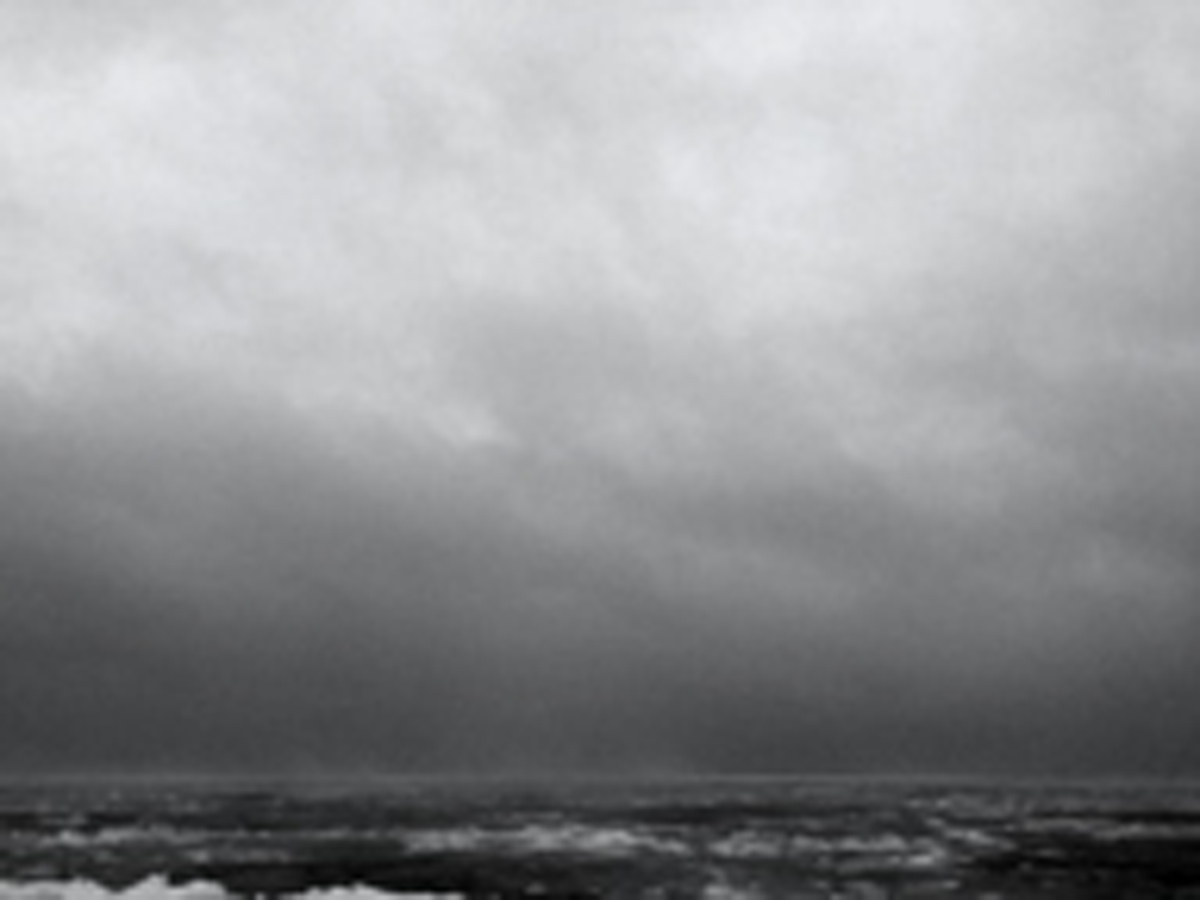 sound 009 bw